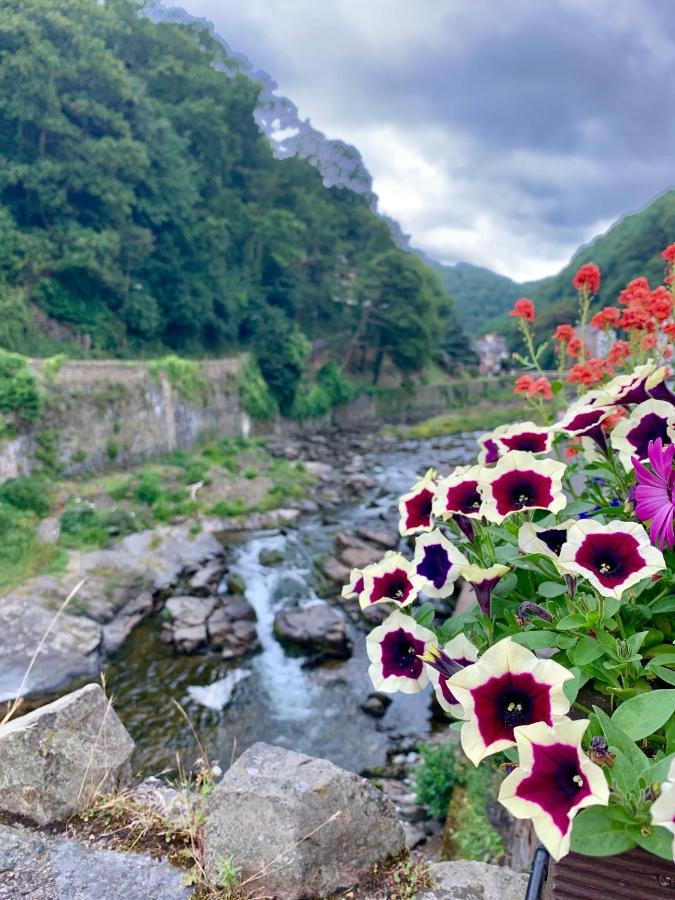Honeysuckle Cottage Ilfracombe Bagian luar foto