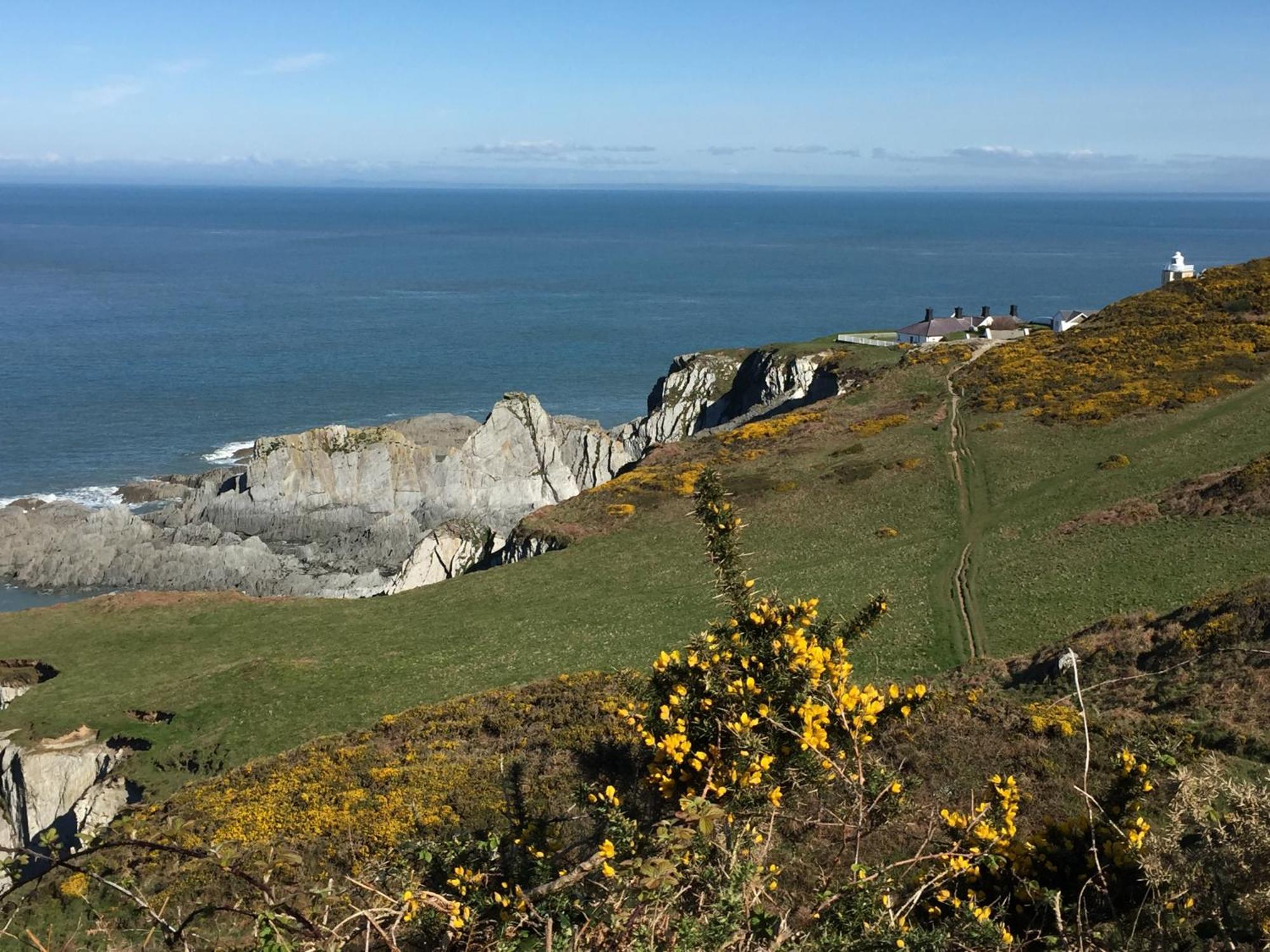 Honeysuckle Cottage Ilfracombe Bagian luar foto