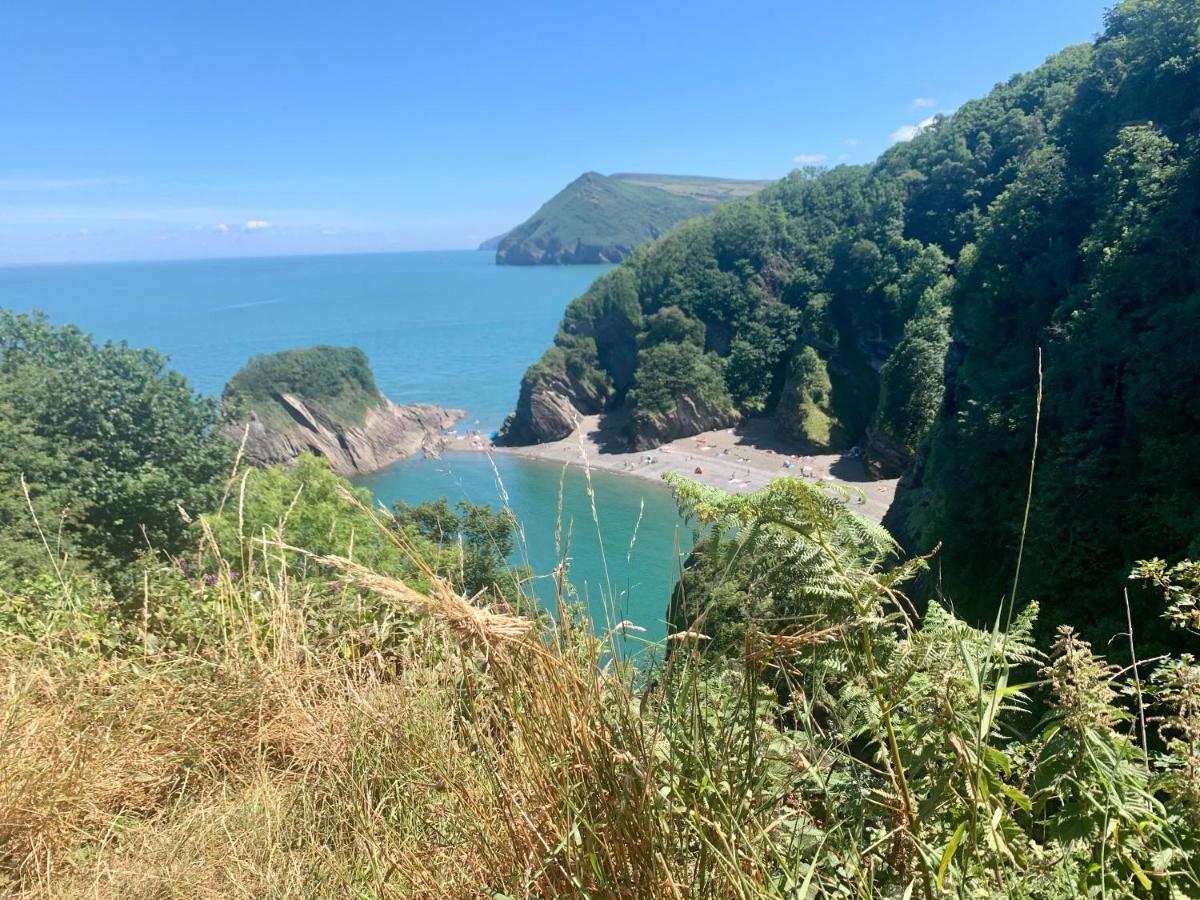 Honeysuckle Cottage Ilfracombe Bagian luar foto