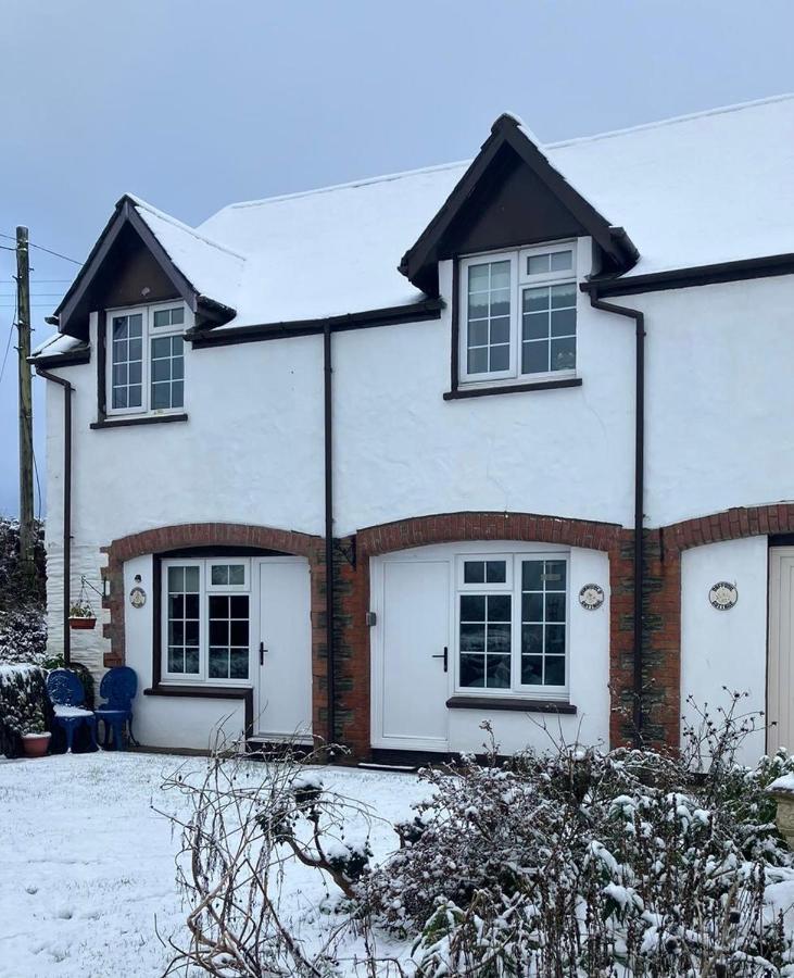 Honeysuckle Cottage Ilfracombe Bagian luar foto